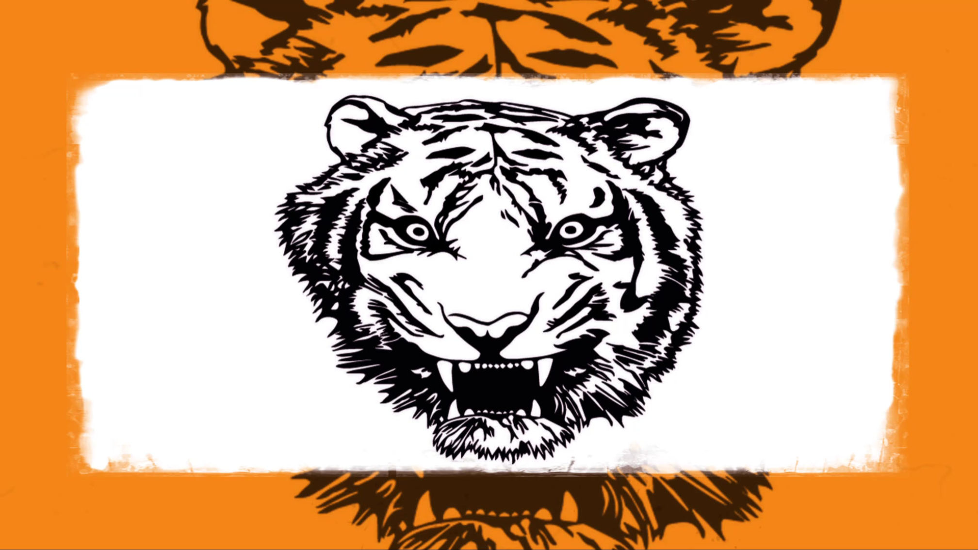 Tiger Shadow Muay Thai : École de boxe thai et de kickboxing à Piedmont